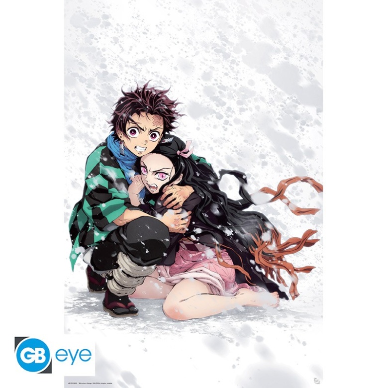 demon slayer poster tanjiro nezuko snow 915x61 1